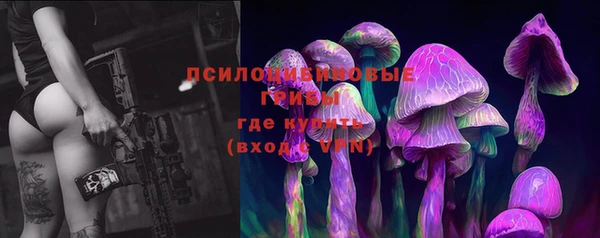 ГАЛЛЮЦИНОГЕННЫЕ ГРИБЫ Абинск