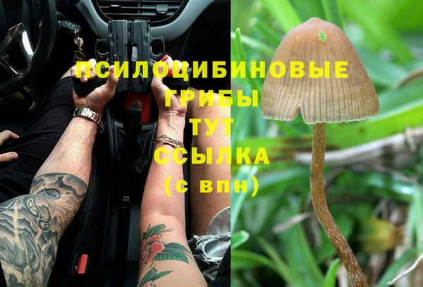 ГАЛЛЮЦИНОГЕННЫЕ ГРИБЫ Абинск