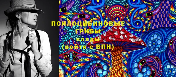 индика Покров
