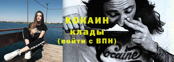 индика Покров