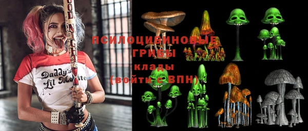ГАЛЛЮЦИНОГЕННЫЕ ГРИБЫ Абинск