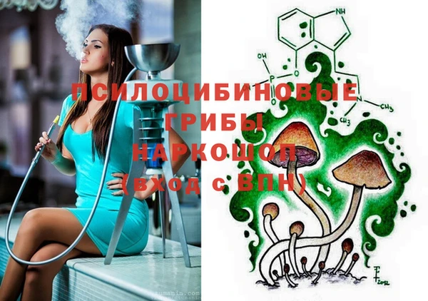 соль ск Магас