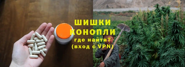 индика Покров