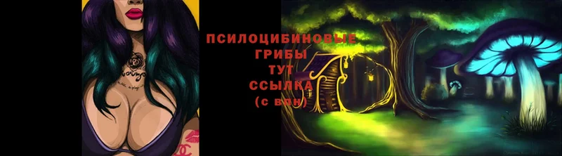 Галлюциногенные грибы Psilocybine cubensis  хочу наркоту  Ачинск 