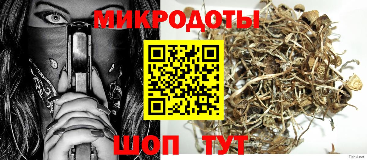 Галлюциногенные грибы GOLDEN TEACHER Ачинск