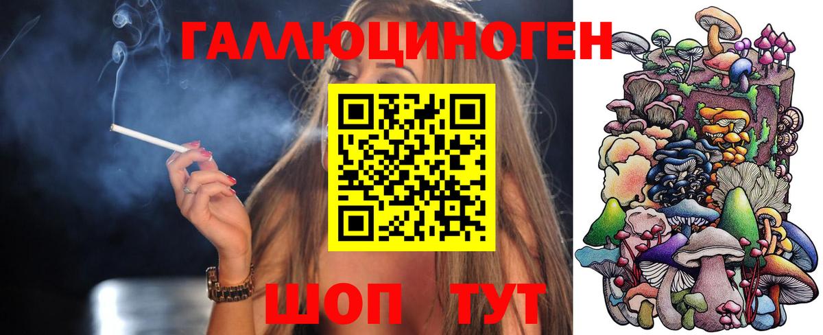 Галлюциногенные грибы мухоморы Ачинск