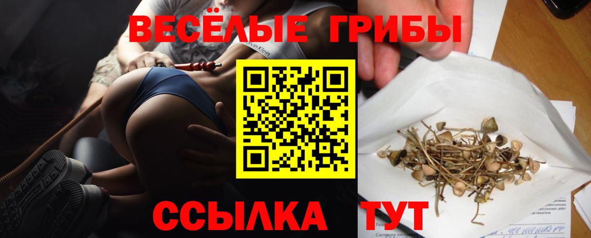 цены   Галлюциногенные грибы MAGIC MUSHROOMS  Вход с VPN  Ачинск  Галлюциногенные грибы ЛСД 